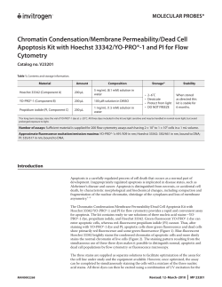 Chromatin Condensation/Membrane Permeability/Dead Cell