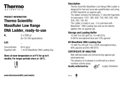 Thermo Scientific MassRuler Low Range DNA Ladder, ready-to-use