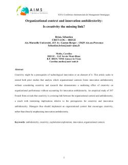 Organizational context and innovation ambidexterity