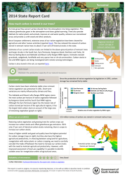 How-much-carbon-is-stored-in-our-trees