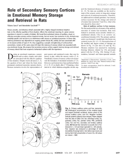 Role of Secondary Sensory Cortices in Emotional Memory Storage