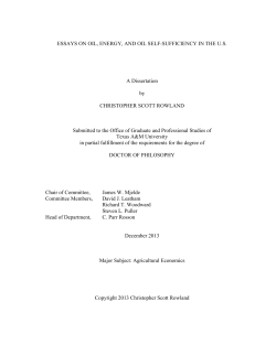 ESSAYS ON OIL, ENERGY, AND OIL SELF