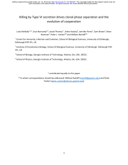 Killing by Type VI secretion drives clonal phase separation