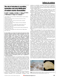 The role of microbes in accretion, lamination and early lithification of