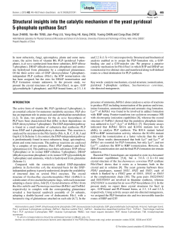 Structural insights into the catalytic mechanism of the yeast pyridoxal