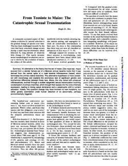 From Teosinte to Maize: The Catastrophic Sexual
