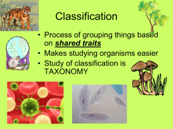 Taxonomy and Classification of Living Things