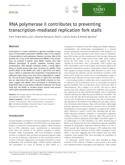 RNA polymerase II contributes to preventing transcriptionmediated