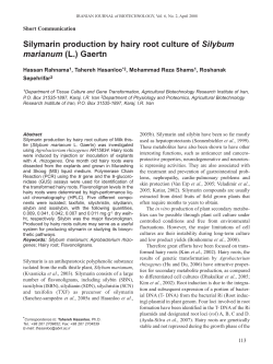 Silymarin production by hairy root culture of Silybum marianum (L