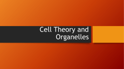 Cell Theory