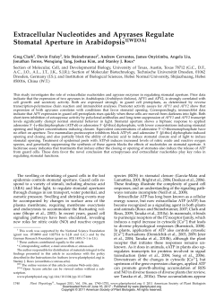 Extracellular Nucleotides and Apyrases Regulate