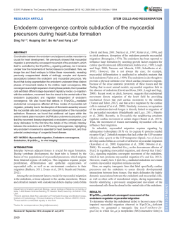 Endoderm convergence controls subduction of the myocardial