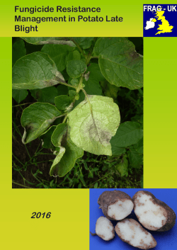Fungicide Resistance Management in Potato Late
