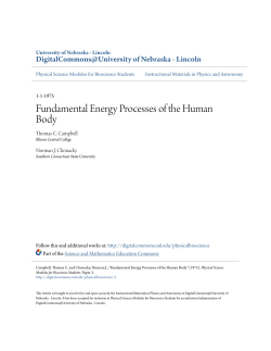 Fundamental Energy Processes of the Human Body