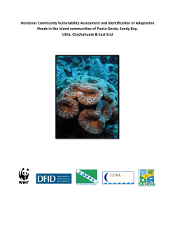 Honduras Community Vulnerability Ass Needs in the Island