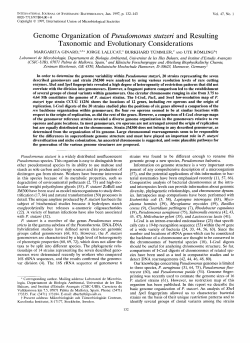 Genome Organization of Pseudomonas stutzeri and Resulting