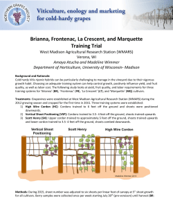 Brianna, Frontenac, La Crescent, and Marquette Training Trial