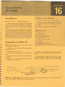 human reflex - Morgan Park High School