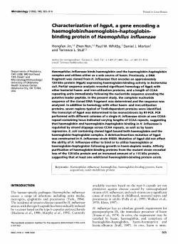 Characterization of hgpA, a gene encoding a haemoglobin