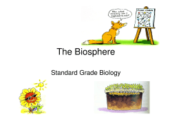 The Biosphere