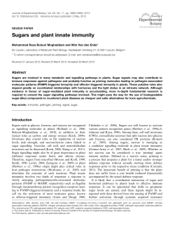 changes in DNA Sugars and plant innate immunity