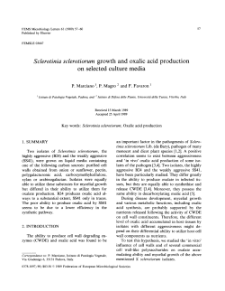 Sclerotinia sclerotiorum growth and oxalic acid production on
