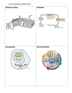 Levels of Organization (Cellular) Notes Membrane Transport