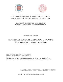 schemes and algebraic groups in characteristic one