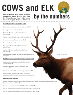 Cows and Elk by the Numbers - Center for Biological Diversity