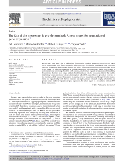 A new model for regulation of gene expression