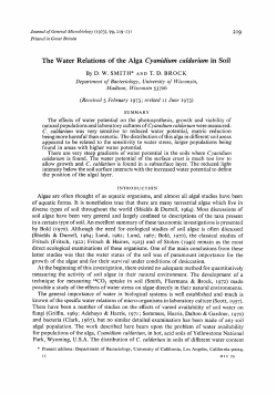 The Water Relations of the Alga Cyanidium caldarium