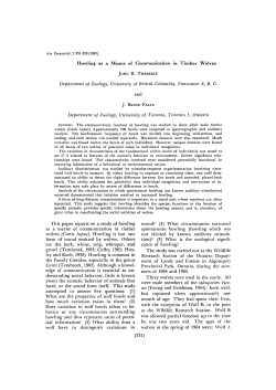 Howling as a Means of Communication in Timber Wolves