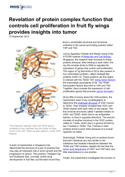 Revelation of protein complex function that controls cell