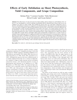 Effects of Early Defoliation on Shoot Photosynthesis, Yield