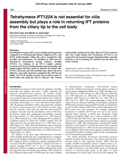 Tetrahymena IFT122A is not essential for cilia assembly but plays a