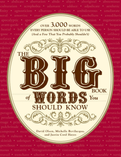 THE BIG BOOK of WORDS You SHOULD KNOW