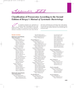 Classification of Procaryotes According to the Second Edition of