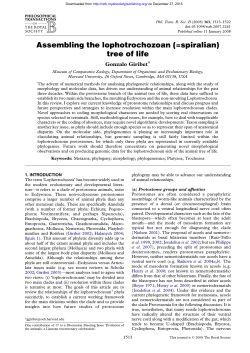 Assembling the lophotrochozoan (=spiralian) tree of life