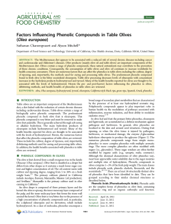 Factors Influencing Phenolic Compounds in Table Olives (Olea