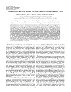 Phylogenetics of Advanced Snakes