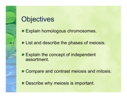 Meiosis - Mr. Doc`s Online Lab