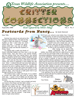 September - Rabbits - Texas Wildlife Association