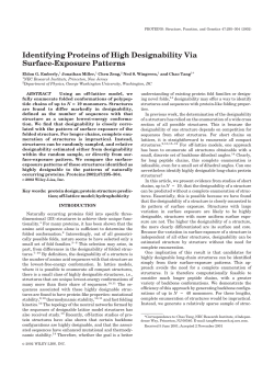 Identifying Proteins of High Designability Via