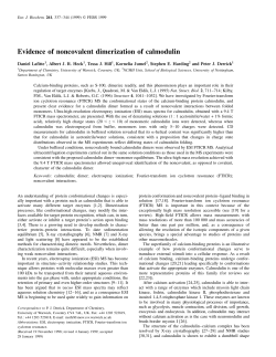Evidence of noncovalent dimerization of calmodulin