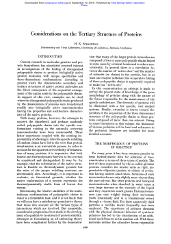 Considerations on the Tertiarv Structure of Proteins