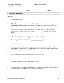 Chapter 55 reading guide