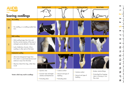 J2484 Scoring chart - Swelling_v2.indd