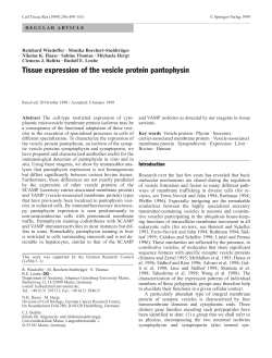 Tissue expression of the vesicle protein pantophysin