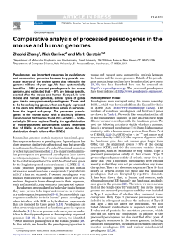 Comparative analysis of processed pseudogenes in the mouse and