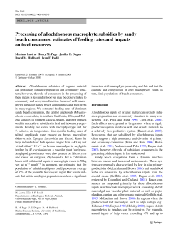Processing of allochthonous macrophyte subsidies by sandy beach